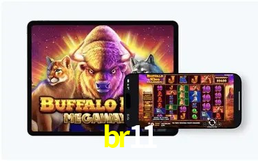 Estatísticas do Jogo br11